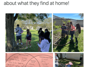 Biodiversity lessons 6th 21_22